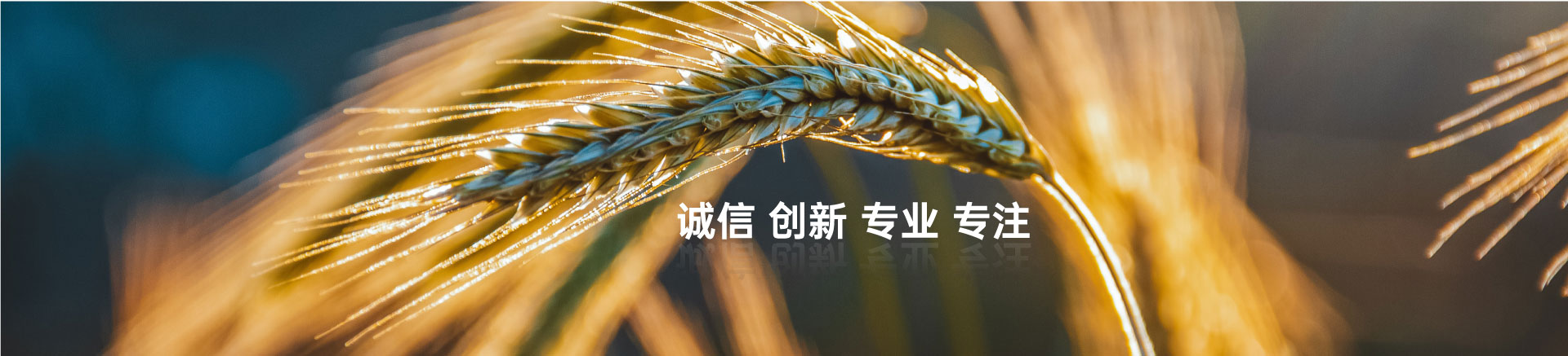 顧客至上，信譽第一